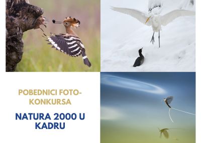 Dodeljene nagrade foto-konkursa „Natura 2000 u kadru“
